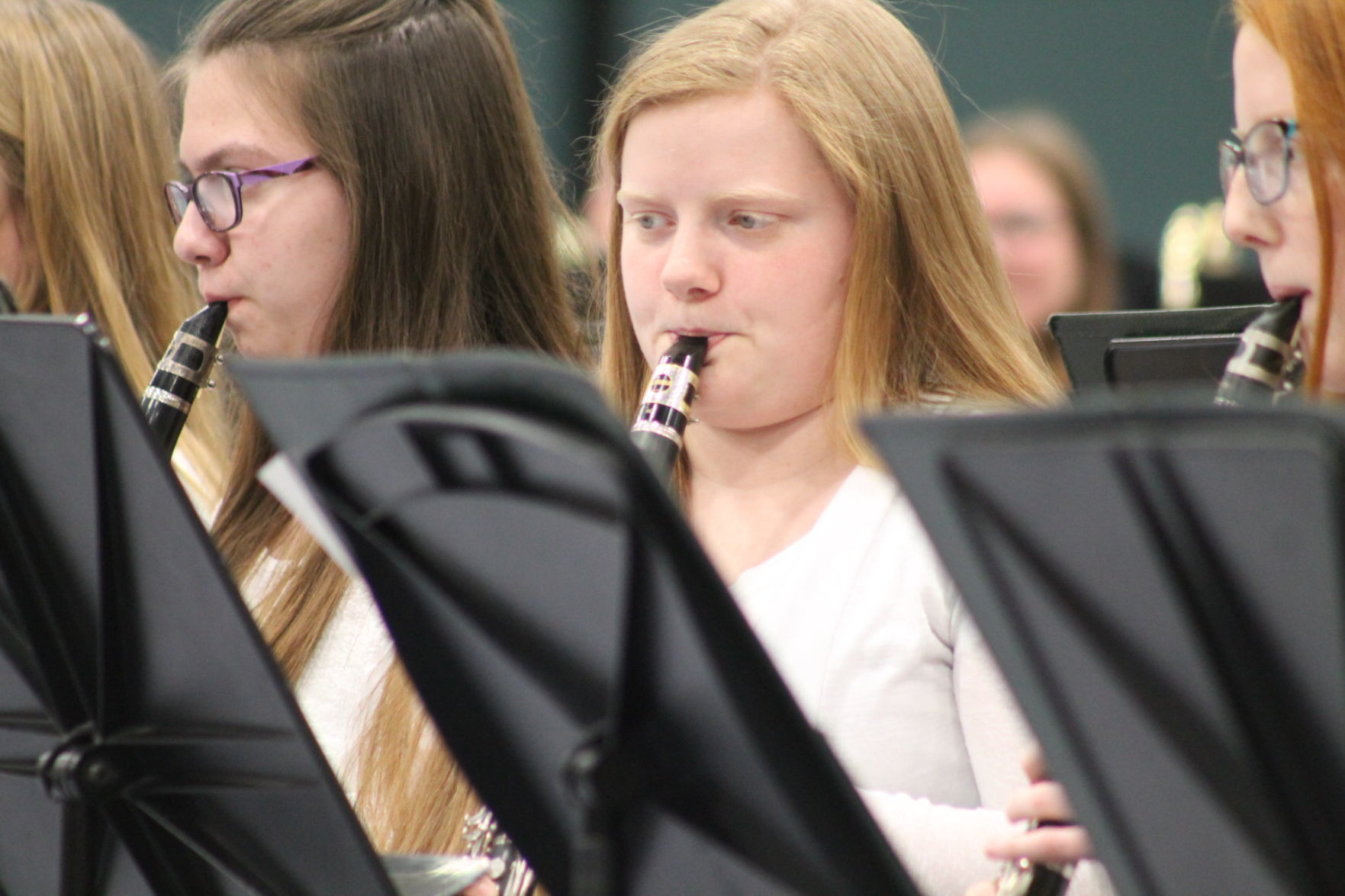 Parade of Bands 41